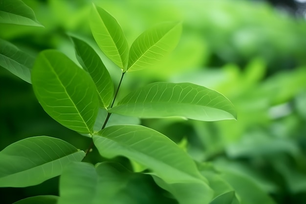 Carta da parati di sfondo verde morbido foglie naturali