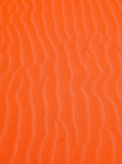 Carta da parati elegante eco arancione Sfondo sabbia Natura estetica nei dettagli