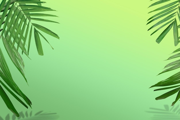 Carta da parati Natura Sfondo estivo di foglie di palma su un baccello verde