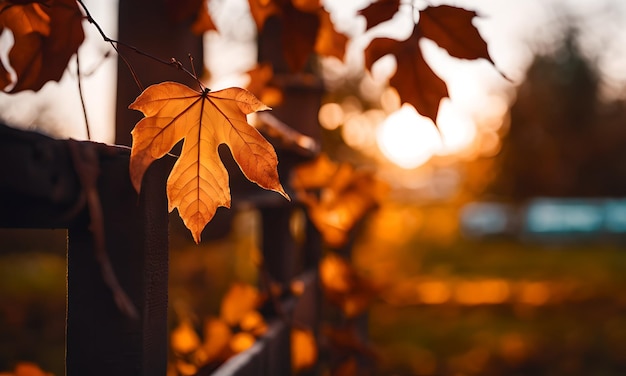 Carta da parati Rame autunnale nel bosco