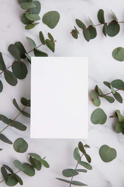Carta di cancelleria invito bianca vuota con foglie di eucalipto