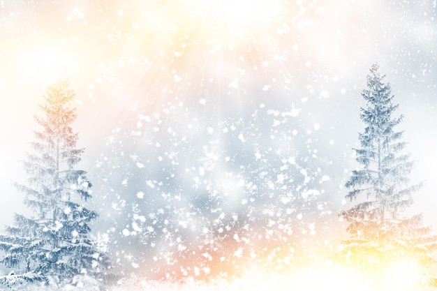 Carta di Capodanno Foresta invernale congelata con alberi innevati