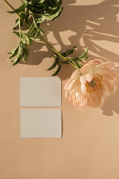 Carta di carta bianca con fiore di peonia spazio copia con ombre di luce solare su sfondo pesca Vista dall'alto concetto di branding aziendale bohémien di lusso estetico minimalista