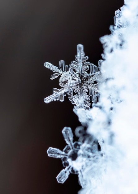 carta invernale, cristalli di neve, foto invernale