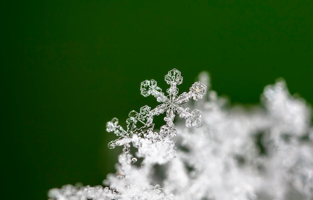 carta invernale, cristalli di neve, foto invernale