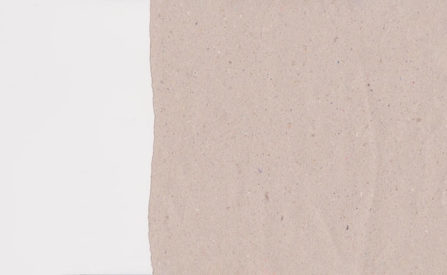 Carta patinata marrone strappata su sfondo bianco