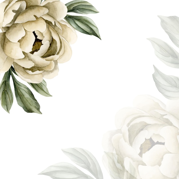 Carta quadrata con fiore e foglie di peonia beige Illustrazione ad acquerello floreale isolata su bianco