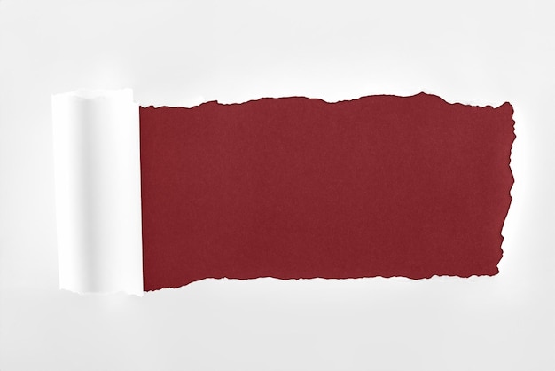 Carta ruvida sfilacciata con bordo arrotolato su sfondo bordeaux
