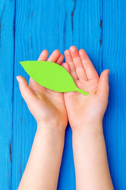 Carta verde foglia nelle mani del bambino.