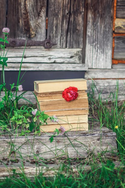 Carta vintage con pila di libri antichi e fiore di rosa rossa all'aperto