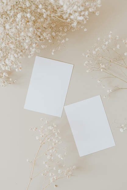 Carte di carta in bianco con fiori di gypsophila su beige