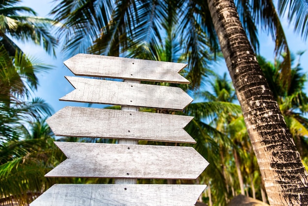 Cartello in legno su uno sfondo di palme su un'isola tropicale