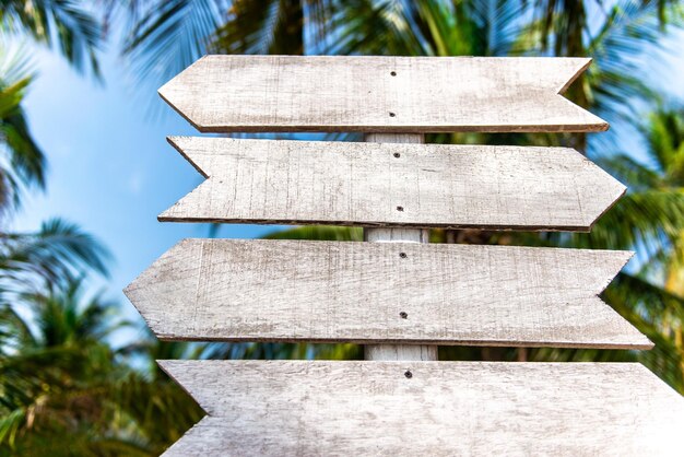 Cartello in legno su uno sfondo di palme su un'isola tropicale