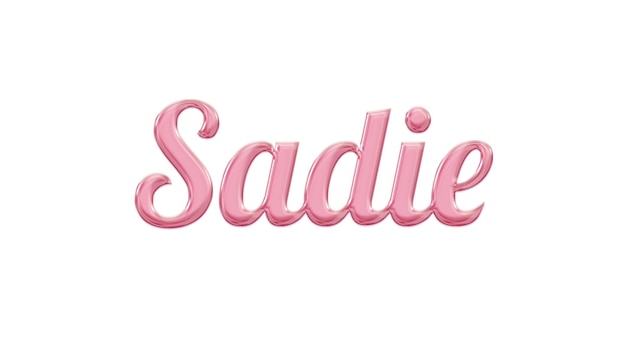 Cartello rosa e bianco con scritto "sadies".