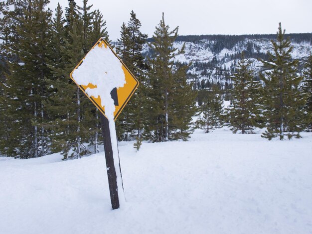 Cartello stradale giallo coperto di neve nel parco nazionale di Great Teton.