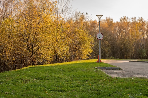Cartello stradale vicino a una lanterna su uno sfondo di una foresta gialla autunnale con il numero pa prato autunnale erba verde luce solare luminosa strada asfaltata all'ombra
