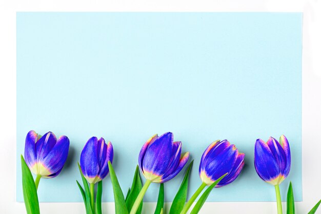 Cartolina d'auguri con il blocco per grafici dai tulipani blu freschi sull'azzurro