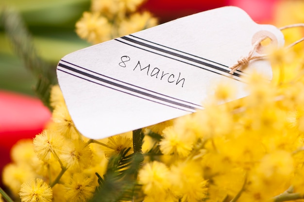 Cartolina dell'8 marzo e fiori di mimosa