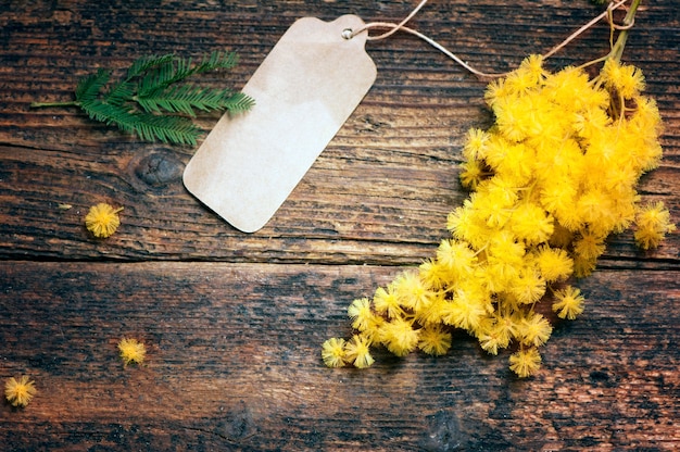 Cartolina dell'8 marzo e fiori di mimosa