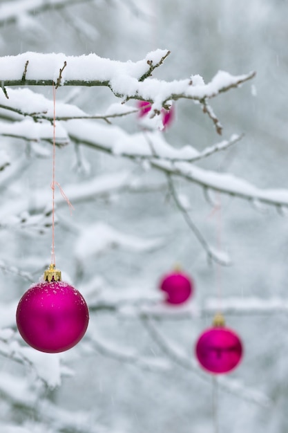 Cartolina di Natale palle di Natale rosa su un ramo di albero nella neve