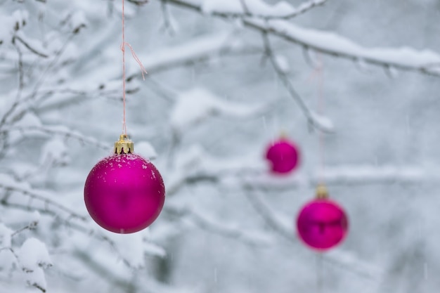 Cartolina di Natale palle di Natale rosa su un ramo di albero nella neve