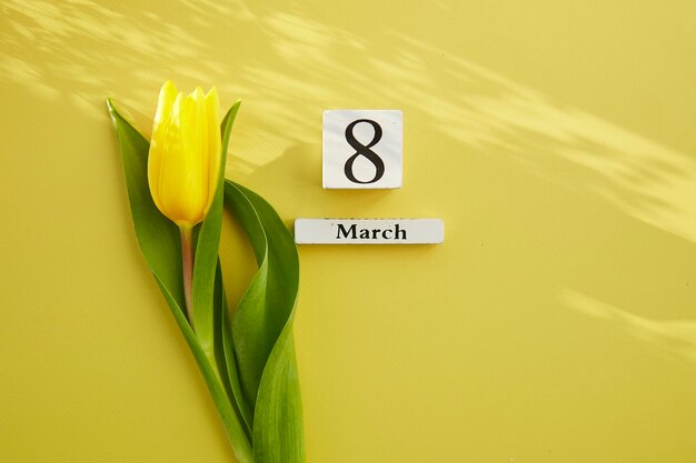 Cartolina postale femminile con testo ombre 8 marzo con tulipano giallo Women39s Day Beauty mockup cartolina concetto Spazio di copia