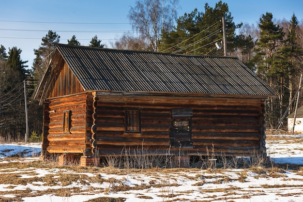 Casa abbandonata dall'albero nella foresta fredda giornata