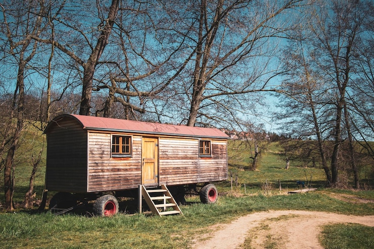 Foto casa abbandonata in mezzo agli alberi e alle piante della foresta