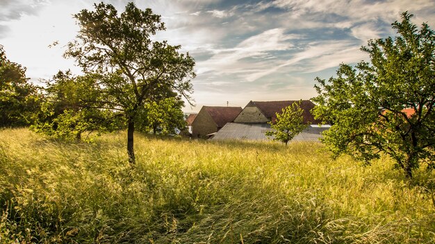 Casa abbandonata sul campo contro il cielo