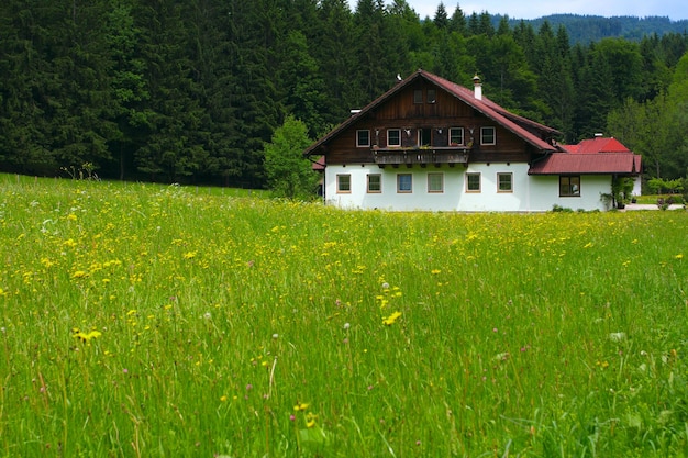 Casa alpina