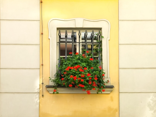 Casa colorata con vasi di fiori sulla finestra dell'edificio in una luminosa giornata di sole biciclette in piedi nelle vicinanze