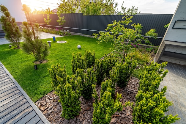 Casa con splendido paesaggio esterno. Erba verde e bei piccoli alberi.