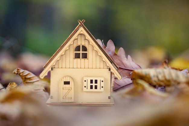 Casa del giocattolo su uno sfondo di foglie