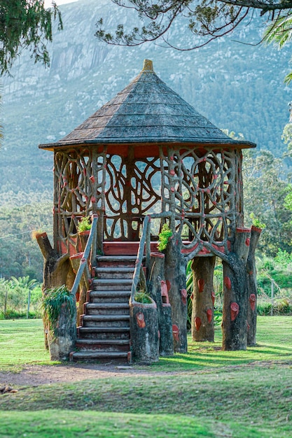 Casa dell'albero in cemento