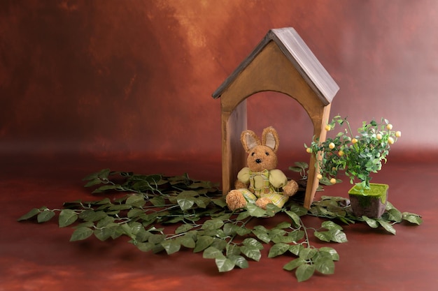 casa di legno con lo sfondo fotografico del coniglio