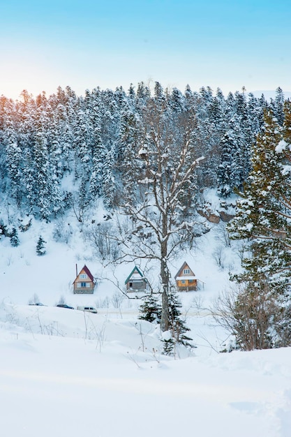 Casa di legno nella foresta invernale