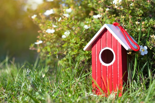 Casa di legno rossa contro il cespuglio verde in giardino. Bird house