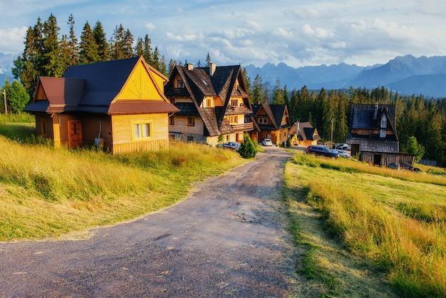 Casa di legno tradizionale in montagna su una strada di campo verde