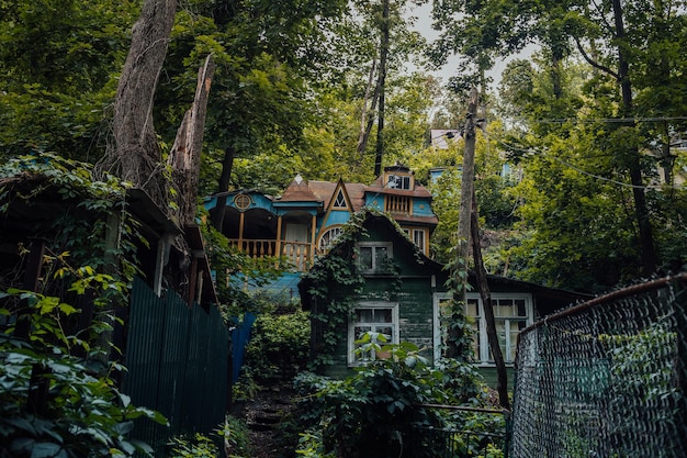 Casa di paese nella foresta con tempo nuvoloso Casa di campagna Edificio residenziale in mezzo alla foresta Casa costruita fuori città Casa russa nel villaggio