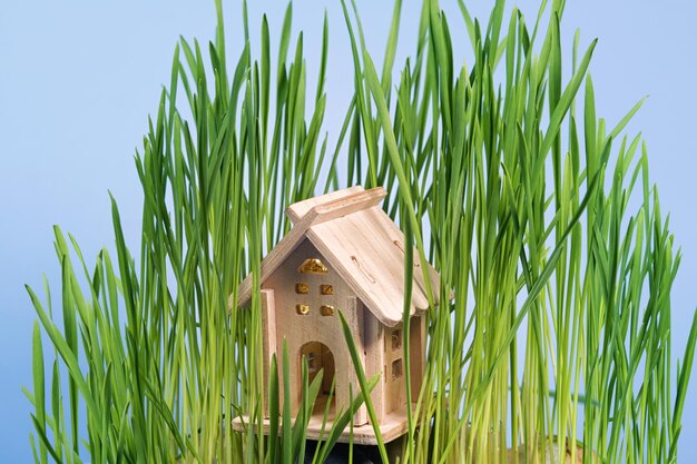 Casa giocattolo in legno in erba verde isolata su sfondo blu. Concetto di bene immobile