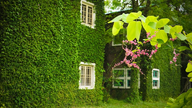 Casa in campagna con Coatbuttons parete vegetale tra natura verde