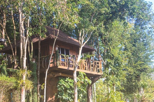 Casa in legno e architettura del giardino