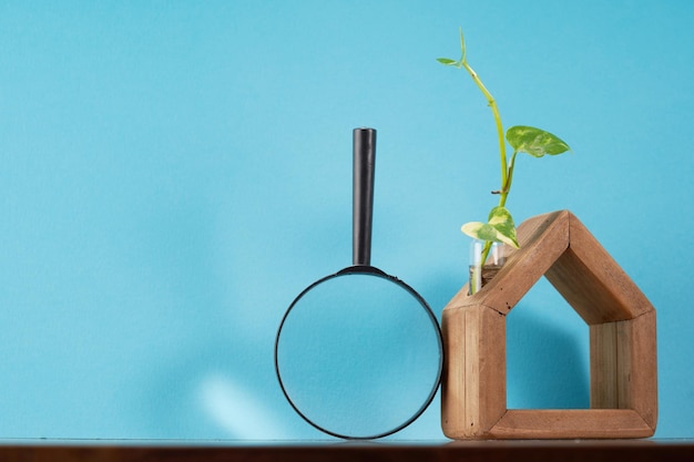 Casa in legno fatta a mano con crescita di piante di denaro su sfondo blu