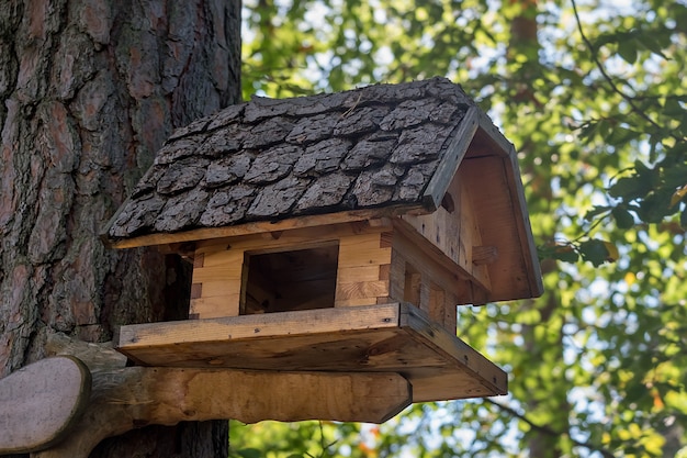 Casa in legno per uccelli con tetto originale in primo piano.