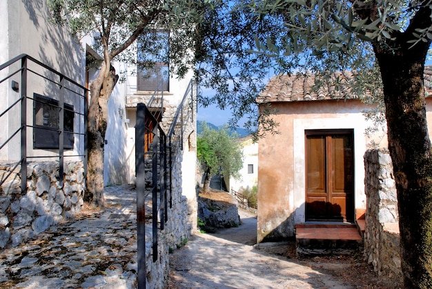 Casa in mezzo agli alberi contro il cielo