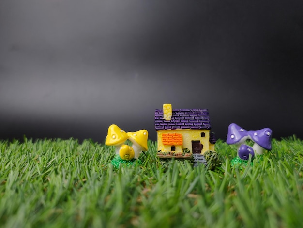 Casa in miniatura con fungo su erba verde e sfondo nero
