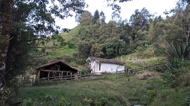 Casa in montagna