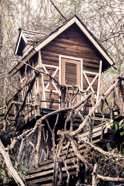 Casa infestata abbandonata nella foresta magica