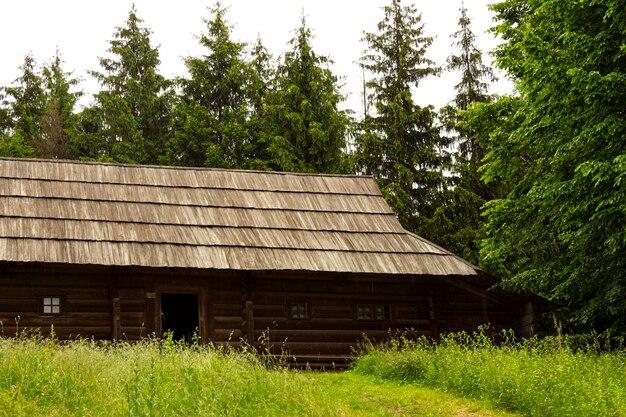 Casa nel villaggio. casa cosacca. Cultura ucraina