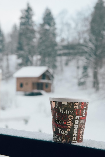 Casa Nella Foresta Innevata